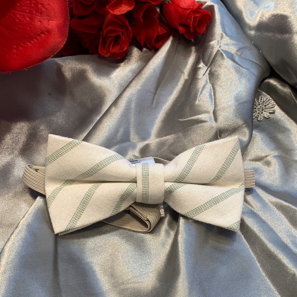 🌹 Boys H&M • Cream Bow Tie with Light Green Diagonal Stripes - EUC